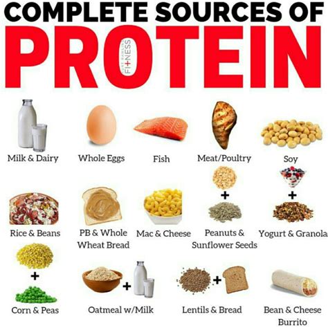 high quality or complete dietary proteins are found in